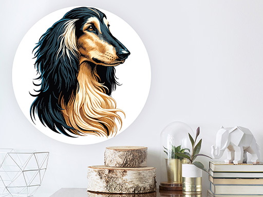 Afganský chrt samolepky na stenu, Afganský chrt nálepky na stenu, Afganský chrt dekorácie na stene, Afganský chrt tapety na stene