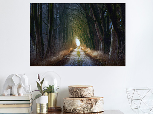 Cesta alejou samolepka na stenu, Cesta alejou plagát na stenu, Cesta alejou plagát dekorácie na stenu, Cesta alejou plagát na stenu, Cesta alejou plagát na stenu, Cesta alejou