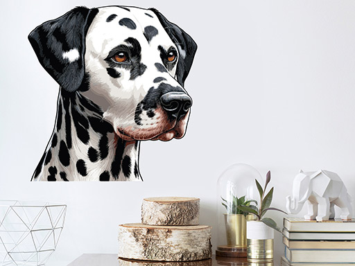 Dalmatín samolepky na stenu, Dalmatín nálepky na stenu, Dalmatín dekorácie na stene, Dalmatín tapety na stene