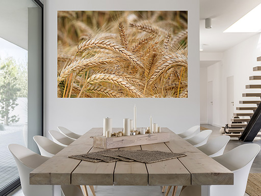 Klasy obilia samolepka na stenu, Klasy obilia plagát na stenu, Klasy obilia plagát dekorácie na stenu, Klasy obilia plagát na stenu, Klasy obilia plagát na stenu