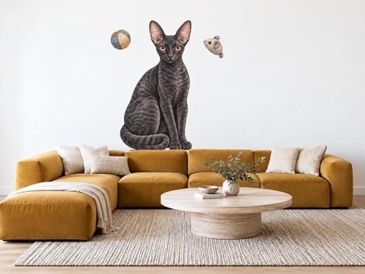 Kočka cornish rex samolepky na zeď, Kočka cornish rex tapety na zeď, Kočka cornish rex dekorace na zeď, Kočka cornish rex nálepky na zeď