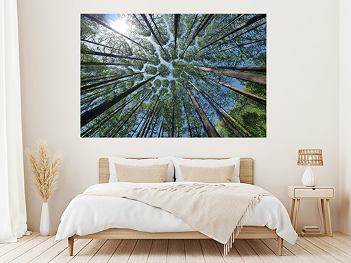 Koruny stromov samolepka na stenu, Koruny stromov plagát na stenu, Koruny stromov plagát dekorácie na stenu, Koruny stromov plagát na stenu, Koruny stromov plagát na stenu