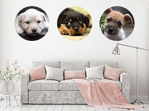 Kruhy so šteniatkami samolepky na stenu, Kruhy so šteniatkami nálepky na stenu, Kruhy so šteniatkami dekorácie na stene, Kruhy so šteniatkami tapety na stene