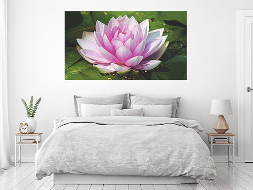 Leknín samolepka na zeď, Leknín plakát na zeď, Leknín plakát dekorace na zeď, Leknín plakát na stěnu, Leknín plakát na zeď