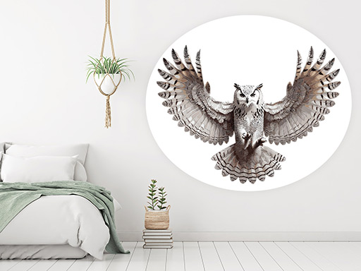 Letící sova samolepky na zeď, Letící sova nálepky na stěnu, Letící sova dekorace na zdi, Letící sova tapety na zdi