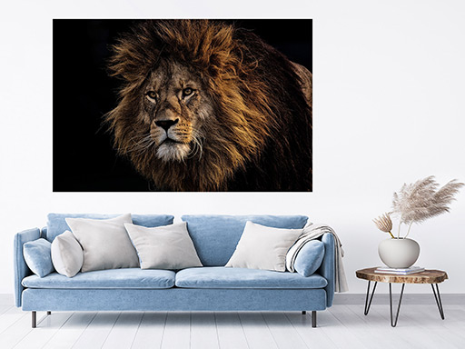 Leví hlava samolepka na stenu, Leví hlava plagát na stenu, Leví hlava plagát dekorácie na stenu, Leví hlava plagát na stenu, Leví hlava plagát na stenu, Leví hlava plagát na stenu