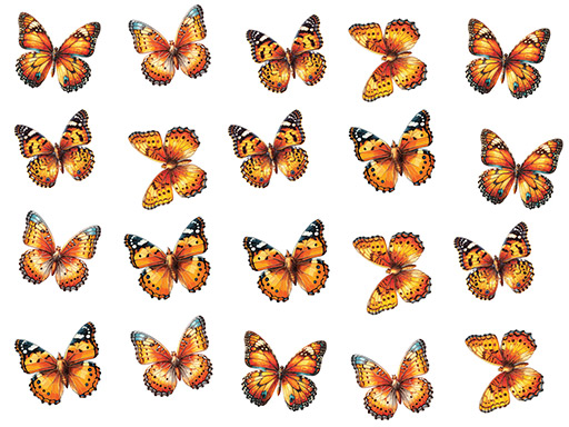 dekorácia motýle oranžová, samolepky na stenu motýle oranžová, nálepky na stenu motýliky oranžová, dekorácia na stenu motýliky oranžová
