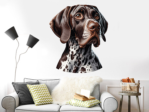 Nemecký stavač krátkosrstý samolepky na stenu, Nemecký stavač krátkosrstý nálepky na stenu, Nemecký stavač krátkosrstý dekorácie na stene, Nemecký stavač krátkosrstý tapety na stene