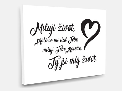 obraz na plátně Miluji život, tištěný obraz na plátno Miluji život, obraz na zeď Miluji život, obraz na stěnu Miluji život
