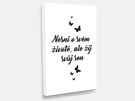 obraz na plátne Nesnívaj o svojom živote, tlačený obraz na plátno Nesnívaj o svojom živote, obraz na stenu Nesnívaj o svojom živote, obraz na stenu Nesnívaj o svojom živote