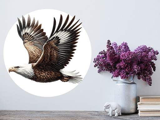 Orol samolepky na stenu, orol nálepky na stenu, orol dekorácie na stenu, orol samolepiaca tapeta na stenu