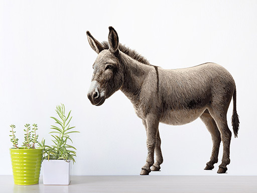 Somár samolepka na stenu, Somár nálepky na stenu, Somár dekorácie na stenu, Somár samolepiaci dekor na steny, Somár samolepiace tapety na stenu