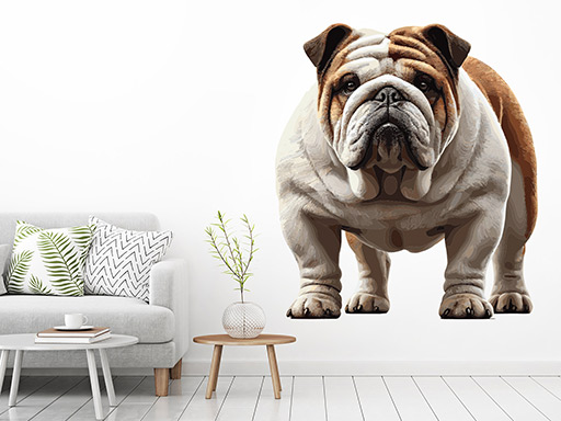 Pes Buldog samolepky na stenu, Pes Bulldog nálepky na stenu, Pes Buldog dekorácie na stene, Pes Bulldog tapety na stene