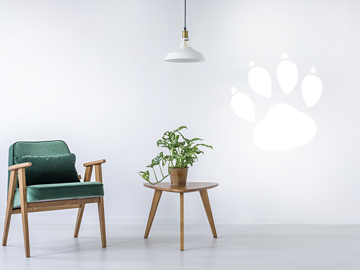 stopy psa, psie šliapaty, šľapaj, pes, psia labka, samolepka na stenuPsie stopy samolepky na stenu, Psie stopy dekorácie na stenu, Psie stopy samolepiace dekorácie na stene, Psie stopy nálepky na stenu