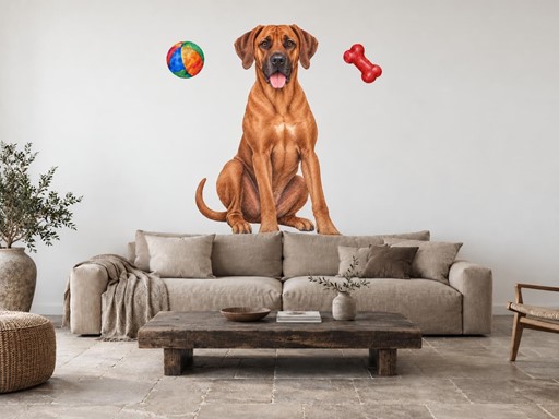 Rhodéský ridgeback s míčkem a kostí samolepky na zeď, Rhodéský ridgeback s míčkem a kostí tapety na zeď, Rhodéský ridgeback s míčkem a kostí dekorace na zeď, Rhodéský ridgeback s míčkem a kostí nálepky na zeď