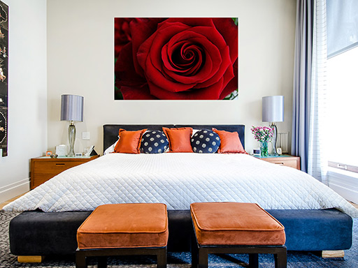 Rudá růže samolepka na zeď, Rudá růže plakát na zeď, Rudá růže plakát dekorace na zeď, Rudá růže plakát na stěnu, Rudá růže plakát na zeď