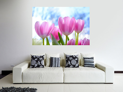 Ružové tulipány samolepka na stenu, Ružové tulipány plagát na stenu, Ružové tulipány plagát dekorácie na stenu, Ružové tulipány plagát na stenu, Ružové tulipány plagát na stenu