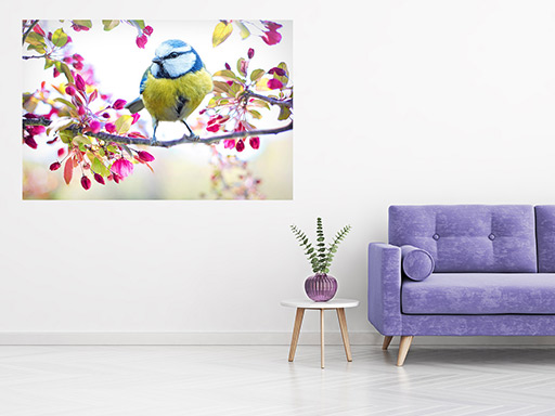 Sýkorka a kvety samolepka na stenu, Sýkorka a kvety plagát na stenu, Sýkorka a kvety plagát dekorácie na stenu, Sýkorka a kvety plagát na stenu, Sýkorka a kvety plagát na stenu