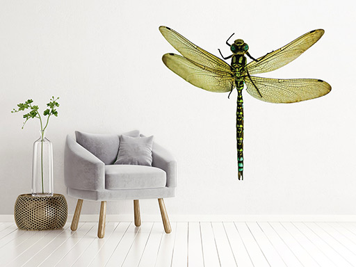vážka samolepky na stenu, vážka dekorácie na stenu, vážka samolepiaca dekorácia na stenu, vážka nalepovacia dekorácia na stenu