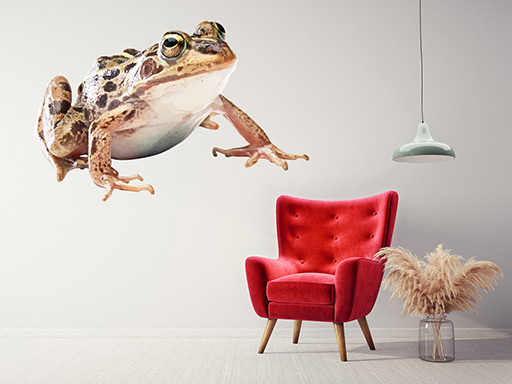 Žaba samolepka na stenu, Žaba nálepky na stenu, Žaba dekorácie na stenu, Žaba samolepiaci dekor na steny, Žaba samolepiace tapety na stenu,