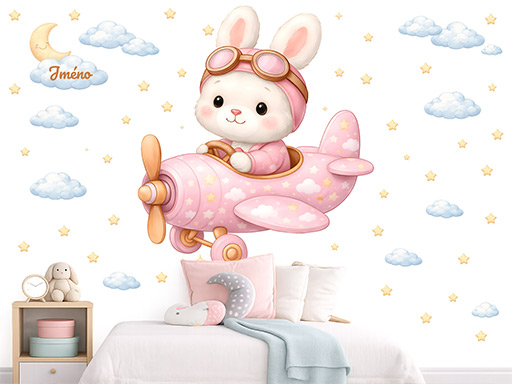 Zajačik v lietadle s menom